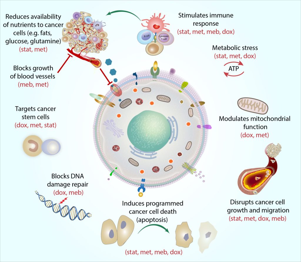 Diagramme de la décomposition cellulaire des capacités de chaque partie's capabilities