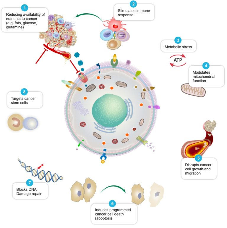 How-it-works-graphic